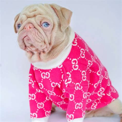 pink gucci pet|Gucci pet clothes.